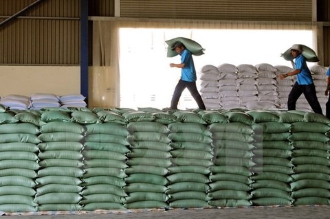 Rice exports beat low expectations in 2017